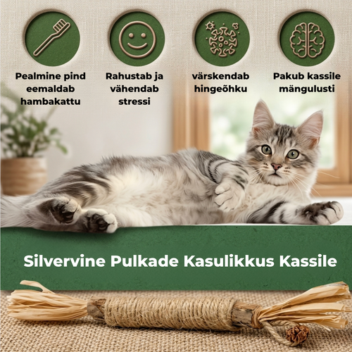 Silvervine Looduslikud Närimispulgad Kassidele